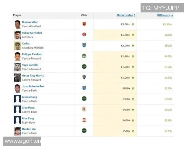 中超球员身价涨幅榜揭晓维塔尔领跑古尔芬克尔紧随其后