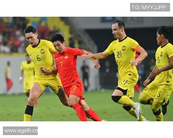 七名归化球员起诉马来西亚足协索赔因违规禁赛一年事件引发关注